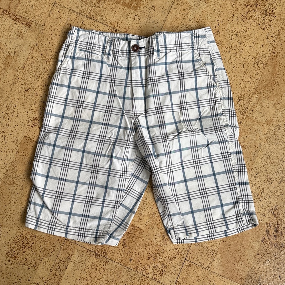 American Eagle Outfitters Striped White and Blue Shorts 30W
